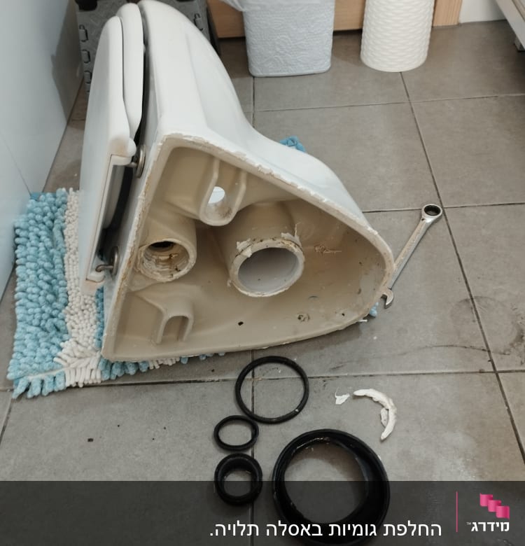 אסלה הפוכה עם אטמים וכלי עבודה על הרצפה